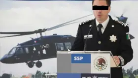 Captura de Palomino no es garantía para libertad de Vallarta: De Wallace