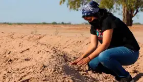 Piden declaración de Zona de Desastre