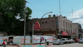 Buscan proteger legendario Álamo en centro de la ciudad