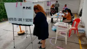 Vota el 3.51% del padrón