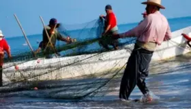 Presentan iniciativa de apoyo para pescadores