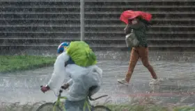 Lluvias aplacan la sequía que ha afectado a casi todo el país