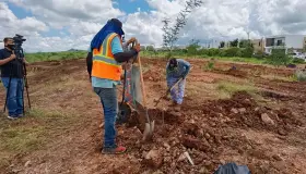 Reforestan zona de fraccionamientos