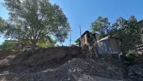 Denuncian invasión de área  verde y derribo de árboles