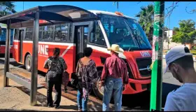 Reportan en julio 63 quejas contra servicio de transporte
