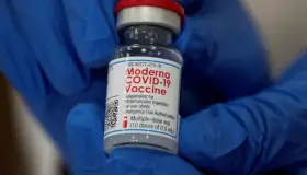 Arriban a México dosis de la vacuna Moderna; frontera con EU sigue cerrada