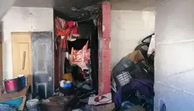 Invaden ratas el Infonavit