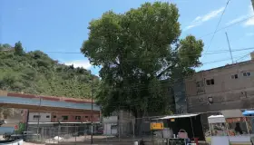 Respetará negocio el Álamo de Obregón y Díaz