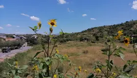 Aprueban desarrollo en El Greco