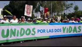 Fallo sobre aborto tiene inconsistencia: Provida