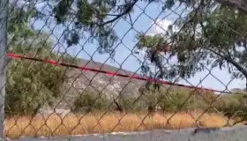 Hallan cabeza dentro de hielera en patio de escuela en Monterrey