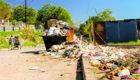 Basura y calor aceleran proliferación de moscas