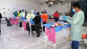 Realizan exitosa jornada de castración canina y felina