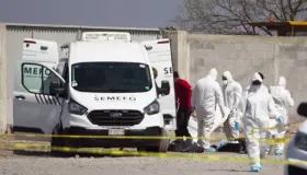 Urgente, banco nacional de datos genéticos: Alejandro Encinas