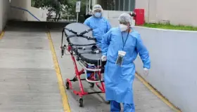 México reporta 381 muertes por covid en últimas 24 horas