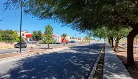 Verifican re forestación de especies vegetales