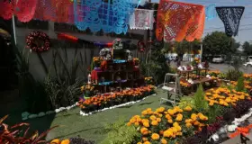 Mejora venta de flor de cempasúchil