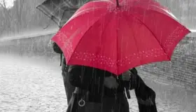 Se esperan lluvias en 30 estados del país por frente frío y onda tropical