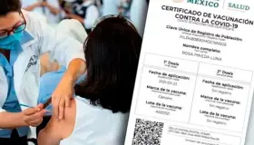 Habilitan correos para certificados