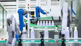 Invita Polkadot a votar sobre la evolución de su marca