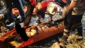 Se desbarranca autobús con turistas en Chiapas; 7 muertos